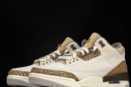 Retro Jordan  CT8532-102 CT8532-102 Palomino  3 0401